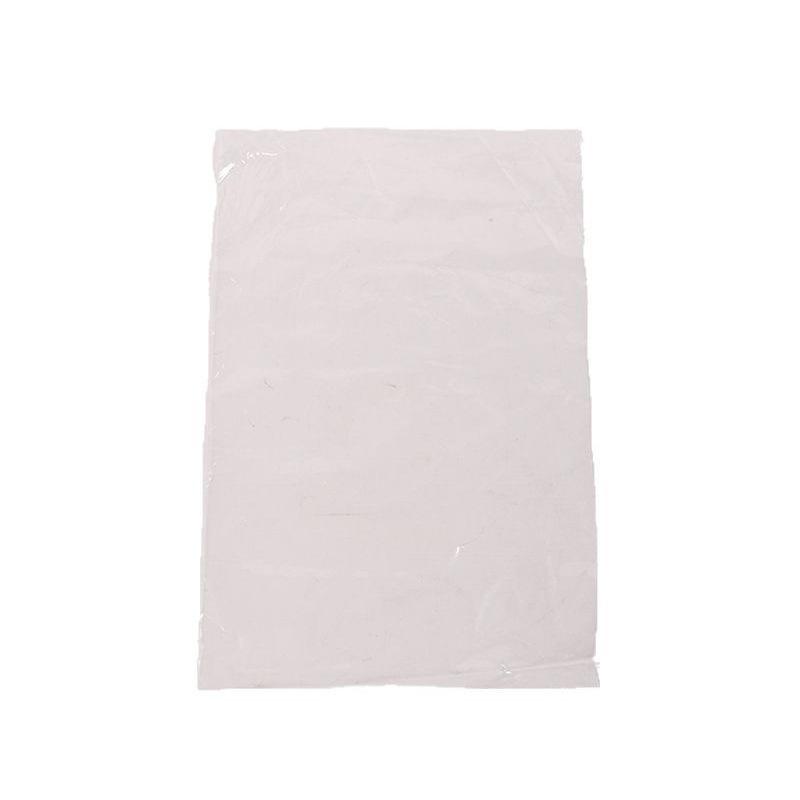 金臻赫（JINZHENHE） JZH-529 PE平口袋薄膜袋直销密封25*35cm（100只）*双层6丝*5捆 25*35cm（100只）*双层6丝*LDPE*透明 （单位：捆）  透明