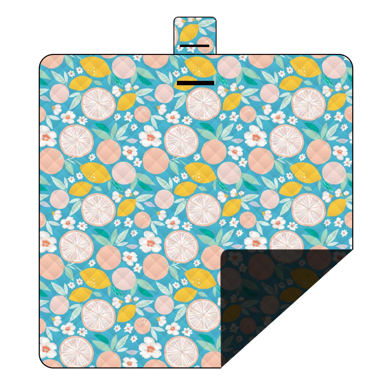 程佑（CHENGYOU） CY-FCD 户外用品野餐垫防潮垫 2024新款芒果多多200*200cm  （单位：件）