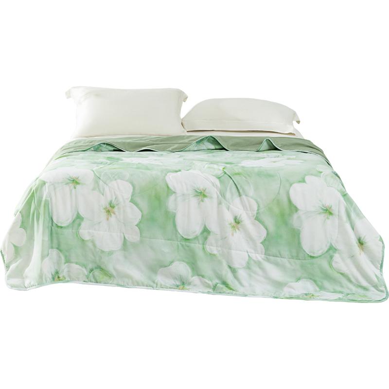 恒源祥（HYX） HYX648BZ 恒源祥HYX648BZ A类抗菌大豆夏被-御锦 200*230 （单位：条）  绿色