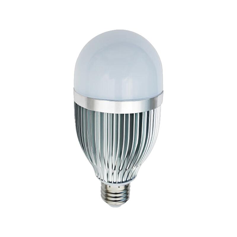 正辉（CHHI） LED球泡灯 AC220V 12W E27 白光 6500K YCL8511银白色 （单位：个）