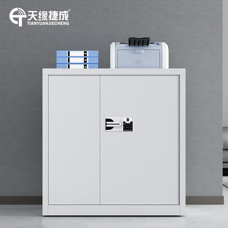 天缘捷成保密文件柜资料档案储存柜办公铁皮柜子 单个单节加厚款 文件柜 （单位：组）