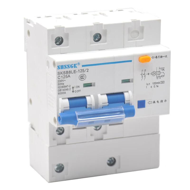 赛时工控(SHSSGK) SKSB8LE-125/2 2P C125A 低压过载保护漏电开关 漏保小型断路器 (单位:台) 蓝白 SKSB8LE-125/2 2P C125A蓝白 （单位：台）